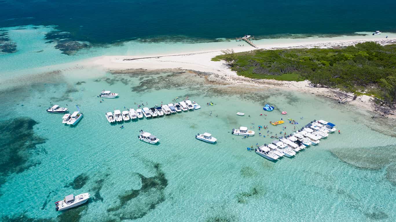 Bimini 19