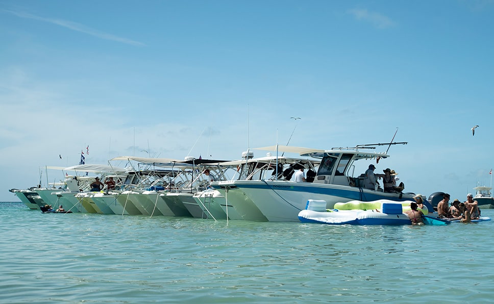 Bimini 19