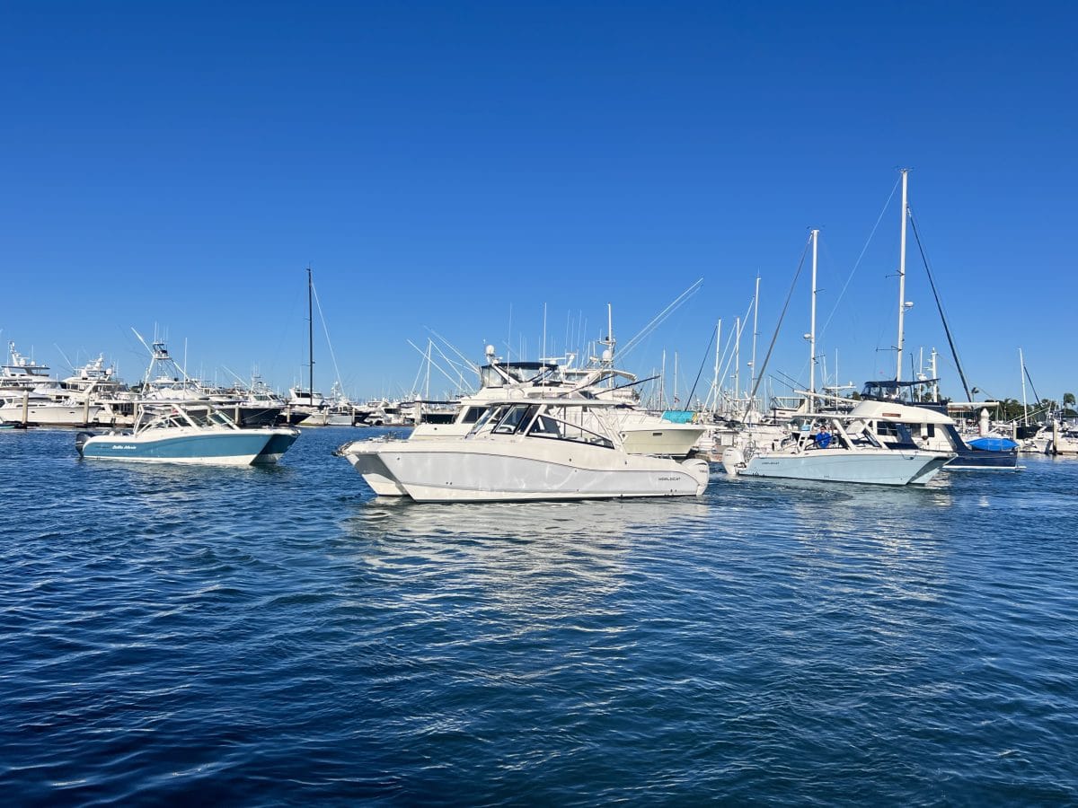 50 north yacht catn pic