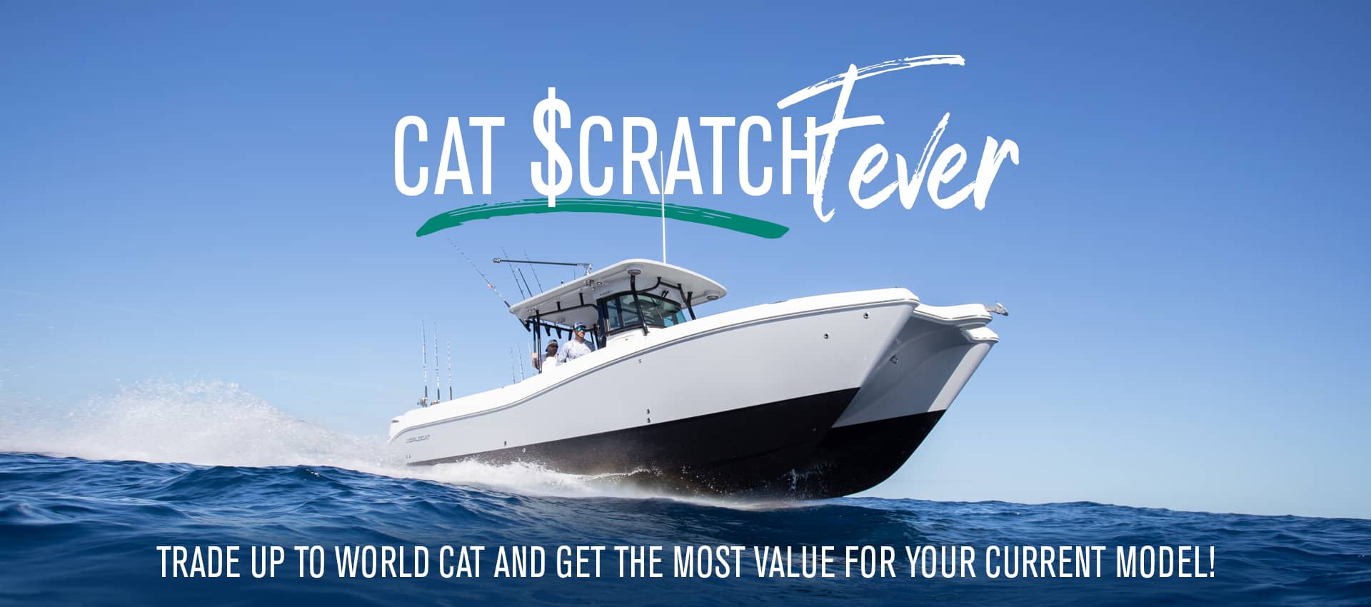 Cat Scratch Fever