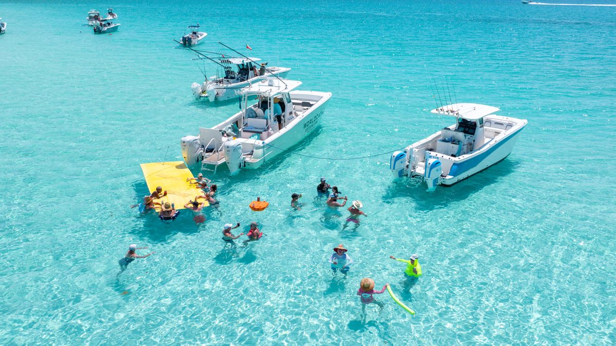 world cat of naples testimonials